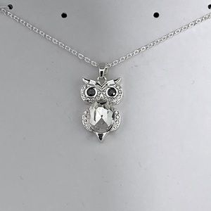 Owl Pendant with Necklace